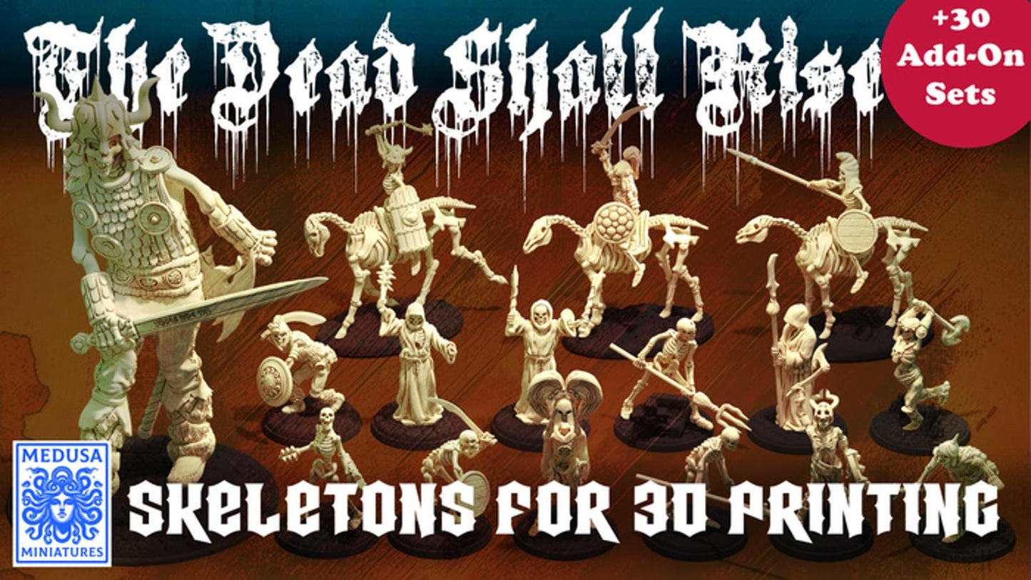 Undead Skeleton Warband