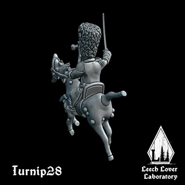 Hussar / Cossack Snob, Toff or Toady