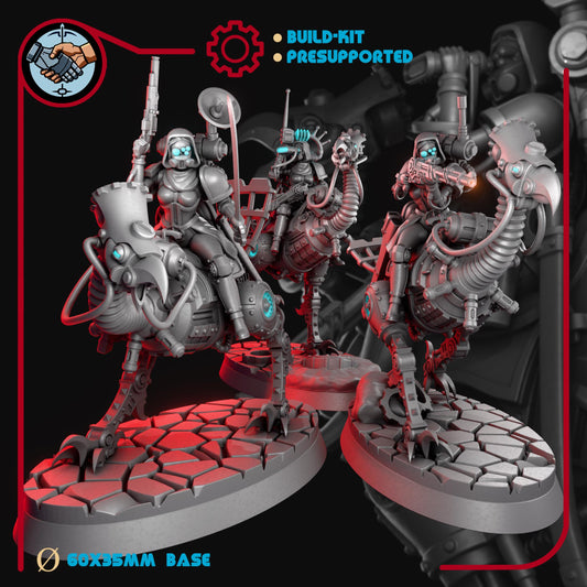 Female Machine Cult Outriders